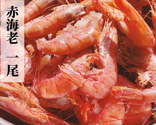 お刺身でも食べれる赤海老 1尾