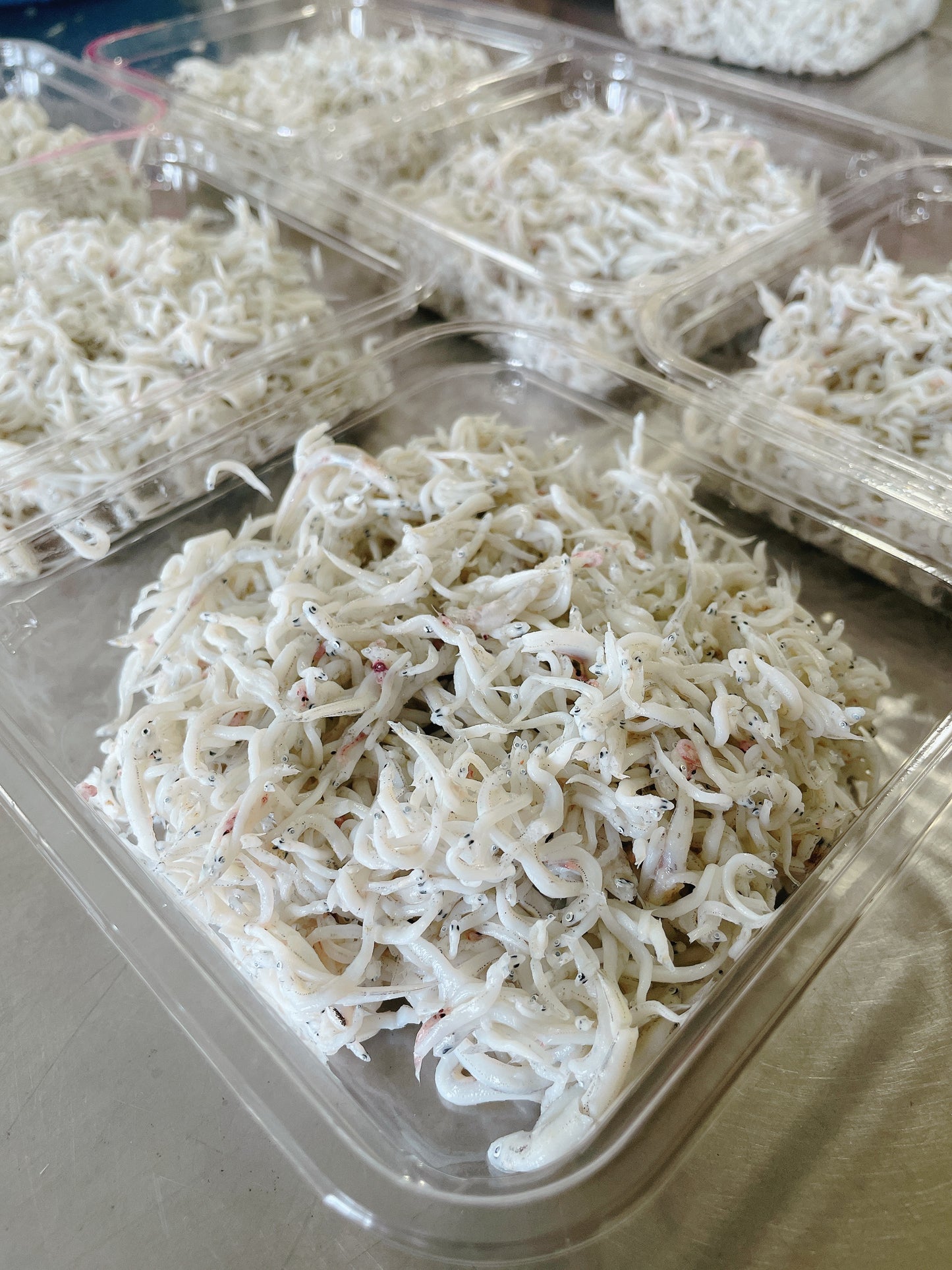 南知多産 ノンソル(無塩)しらす 100g