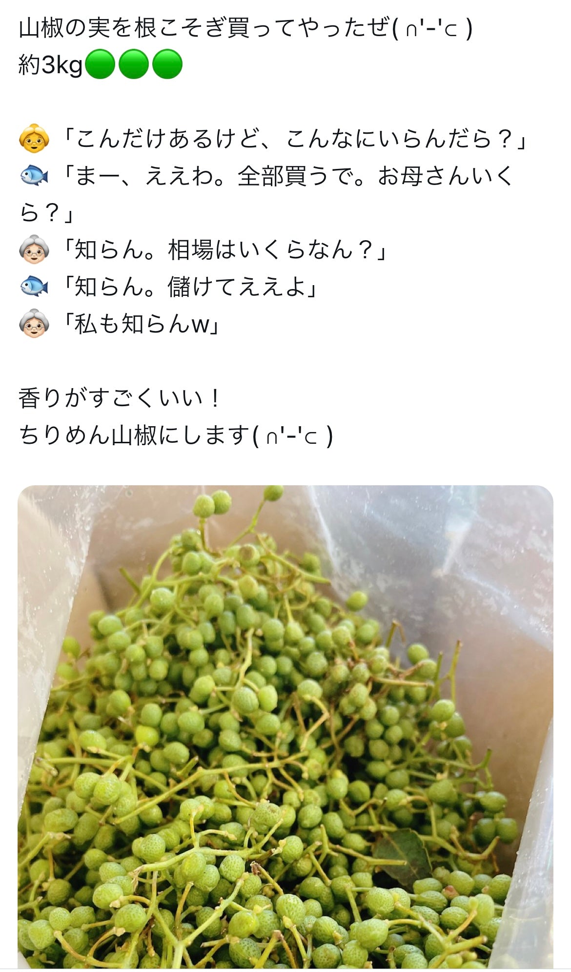 南知多産 ちりめん山椒 130g