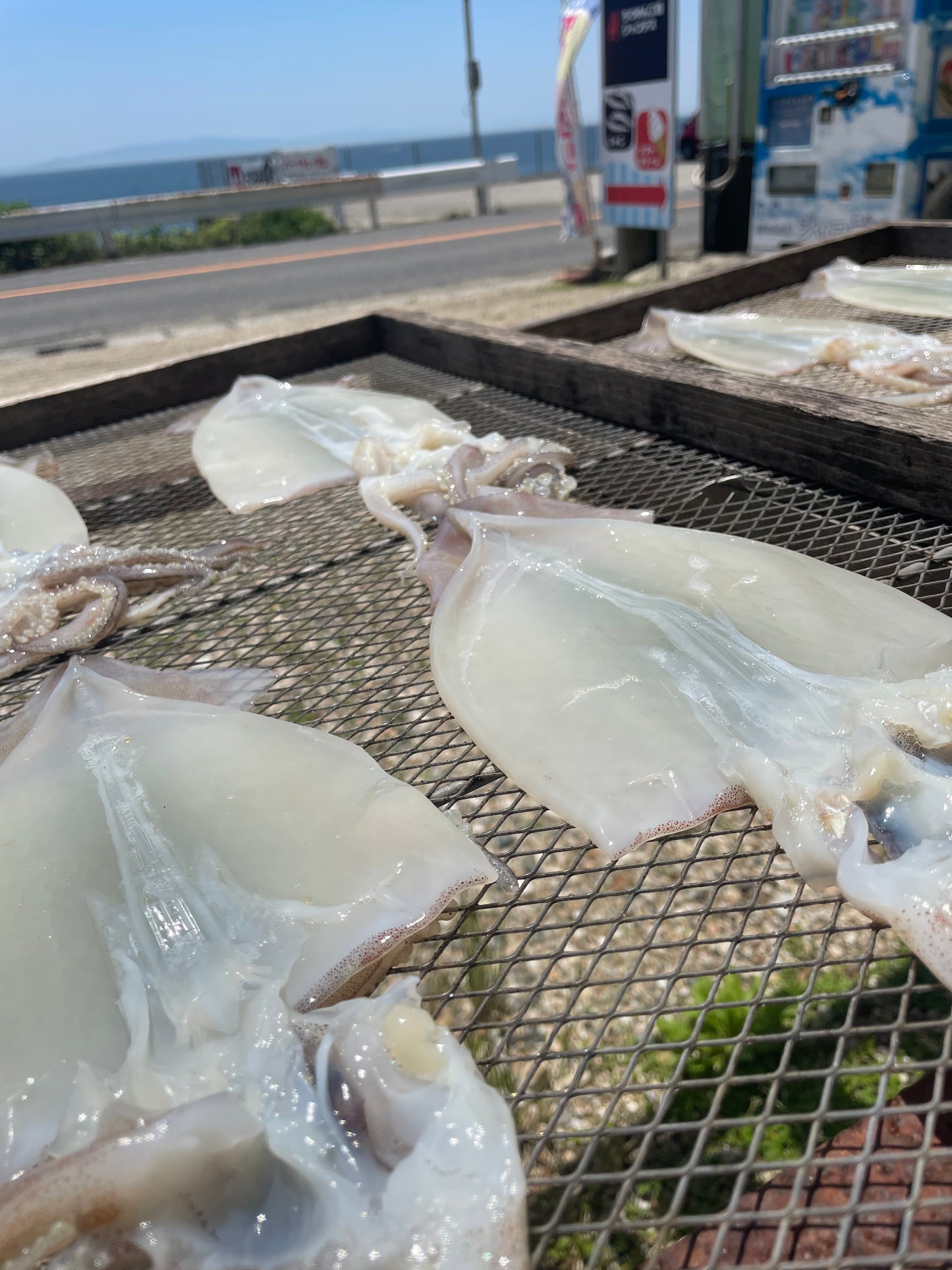 【御中元に】ジャコデスセット (しらす・ひもの)5品入