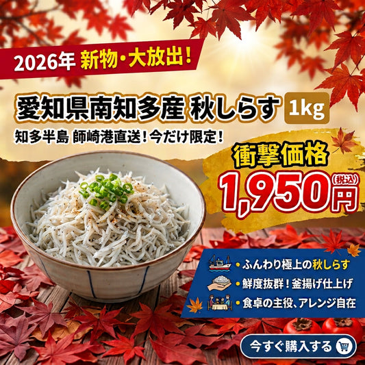 【2026年新物・大放出!】愛知県南知多産秋しらす 1kg|知多半島 師崎港直送!今だけ限定「1,950円」の衝撃価格!ふんわり極上のシラス干し