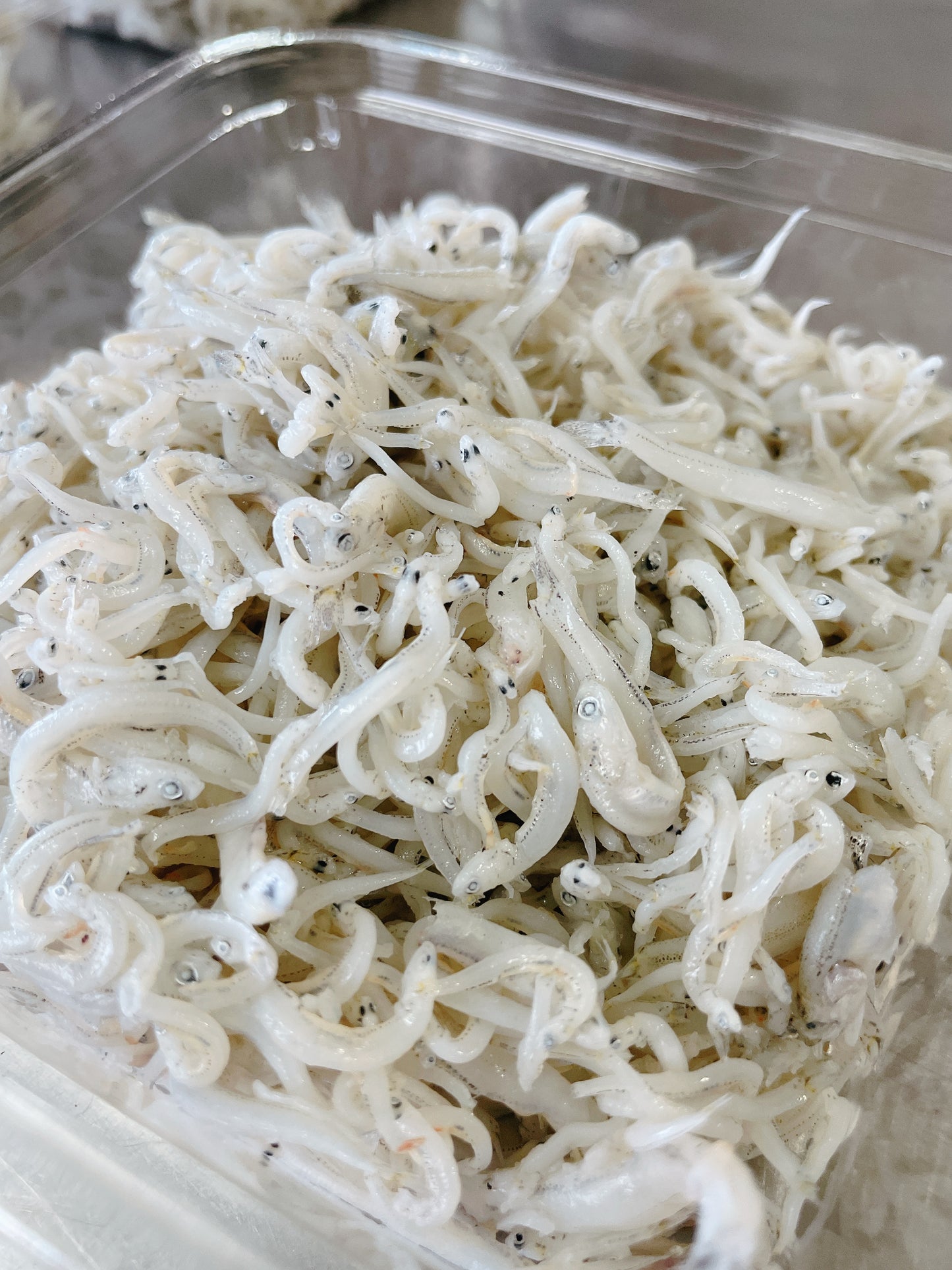 南知多産 天然塩しらす「恵」100g
