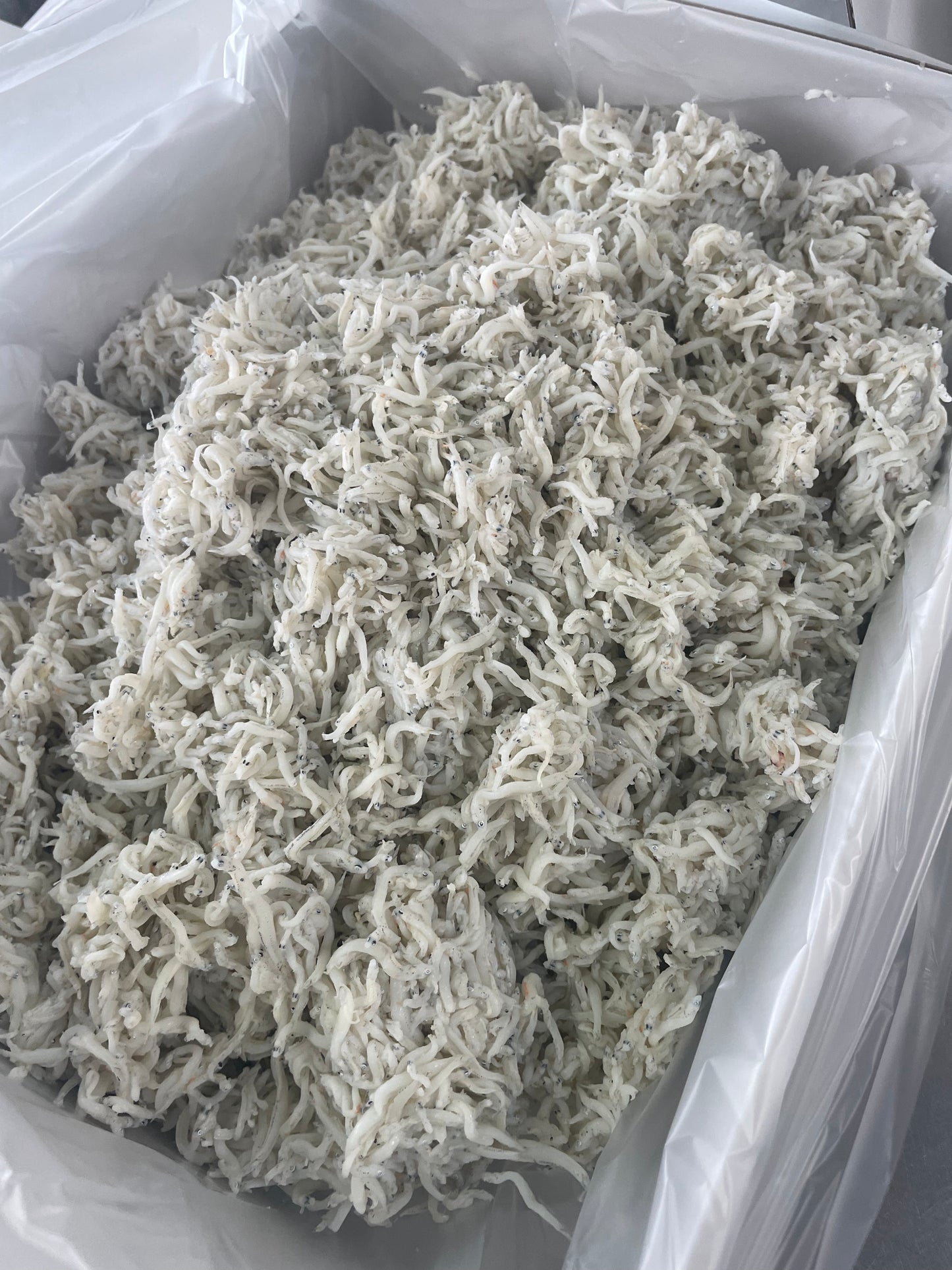 【ボリューム衝撃!】南知多産 釜揚げしらす 800g(1箱)|知多半島 師崎港直送!「1,950円」の極限プライスでお届けするフワフワ海の宝石