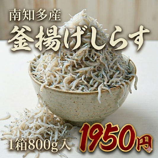 【ボリューム衝撃!】南知多産 釜揚げしらす 800g(1箱)|知多半島 師崎港直送!「1,950円」の極限プライスでお届けするフワフワ海の宝石
