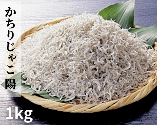かちりじゃこ「陽」1kg