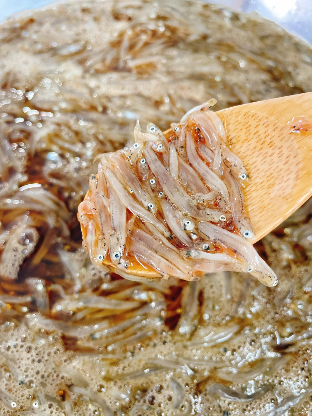 南知多産 生しらすの沖漬け 100g