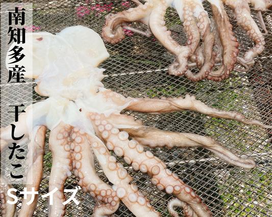 南知多産 干したこ (Sサイズ)