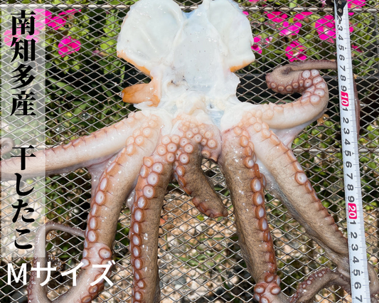 南知多産 干したこ (Mサイズ)