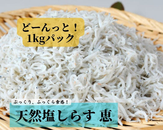 【御中元にも】天然塩しらす「恵」1kg