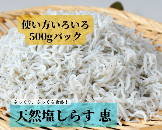 南知多産 天然塩しらす「恵」500g