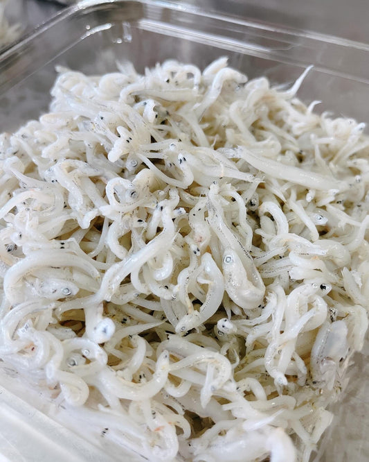 【しらすの話】＃２　骨まで食べる天然サプリ！しらすの驚くべき栄養パワー