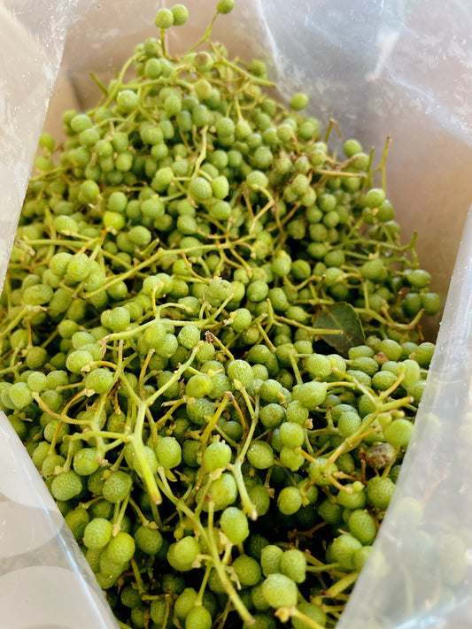 【プロ直伝】実山椒のあく抜き・下処理の決定版！失敗しない茹で時間と保存方法