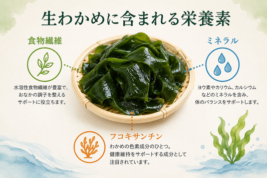 生わかめを中心に、 食物繊維・ミネラル・フコキサンチン などをシンプルなアイコンで表現。
