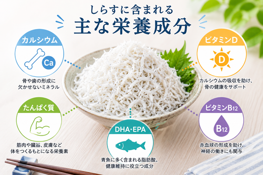【保存版】しらすの栄養成分と驚きの効能｜効率的な食べ方や鮮度の見分け方をプロが解説