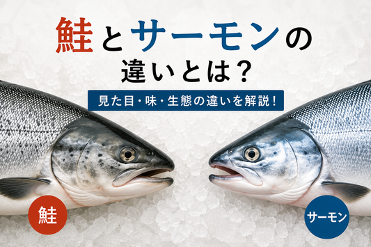 「鮭は加熱、サーモンは生食」はもう古い？愛知県南知多町のプロが教える決定的な違いと安全な食べ方