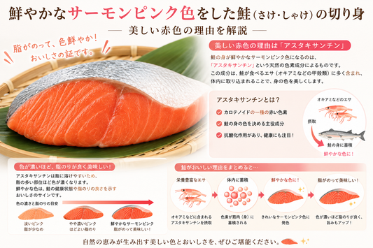 「鮭は実は白身魚！？」サーモンとの意外な違いと知っておきたい驚きの栄養パワー
