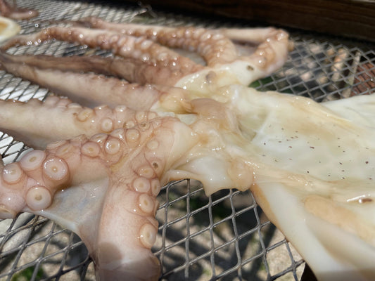 【極上のダシ】知多半島・師崎の「干したこ」を味わい尽くす！店主おすすめの絶品レシピ＆手軽な食べ方まとめ