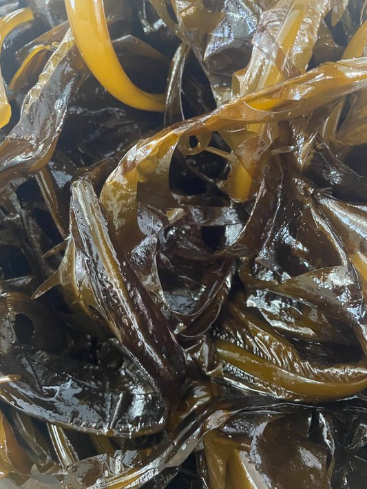 わかめの栄養素を徹底解説！生わかめに含まれる驚きの健康・美容成分とは？