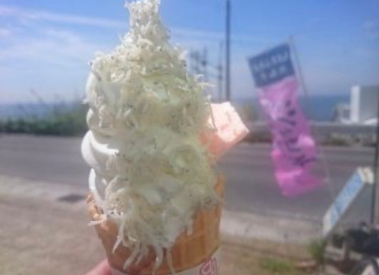 愛知県の珍しいご当地ソフト！知多半島名物「じゃこソフト」はえびせんべいをスプーンに