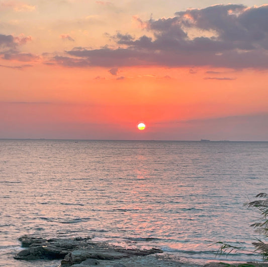 【第14回】これぞ南知多の特権！店主が教える師崎の「最高の夕陽・朝焼け」スポット