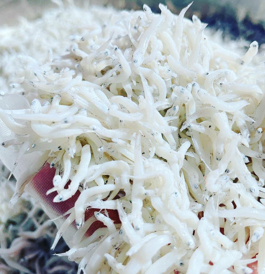 意外と知らない！？赤ちゃんの胃腸に優しい「しらすの塩抜き」完璧ガイド