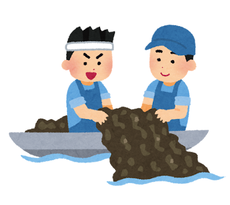 南知多・師崎産の一番摘み焼海苔｜香り・旨味・口どけを楽しむ海苔