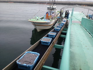 南知多 師崎の恵みセット（南知多産しらす＆梅ちりめん100ｇ 計8袋）