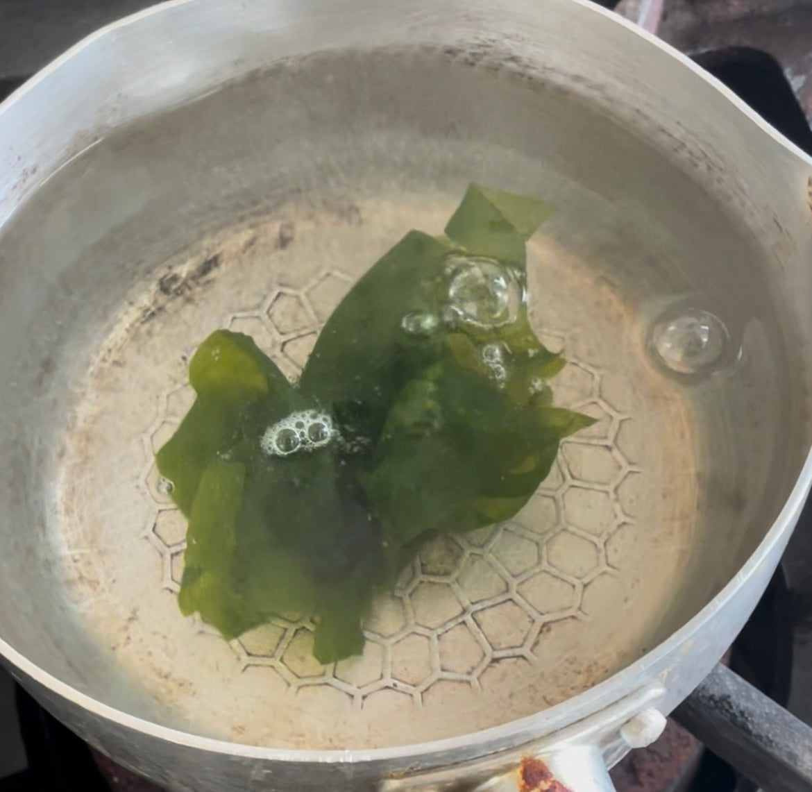 【旬・産直】南知多産 生わかめ 400g｜しゃぶしゃぶ・刺身用（期間限定）