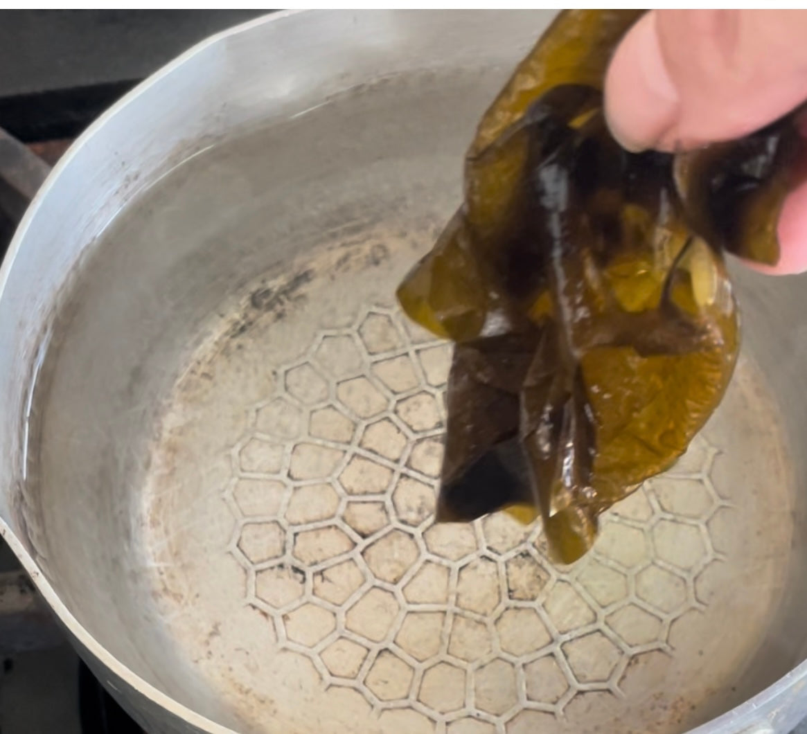 【旬・産直】南知多産 生わかめ 400g｜しゃぶしゃぶ・刺身用（期間限定）