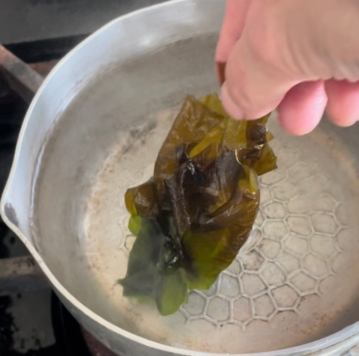 【旬・産直】南知多産 生わかめ 400g｜しゃぶしゃぶ・刺身用（期間限定）