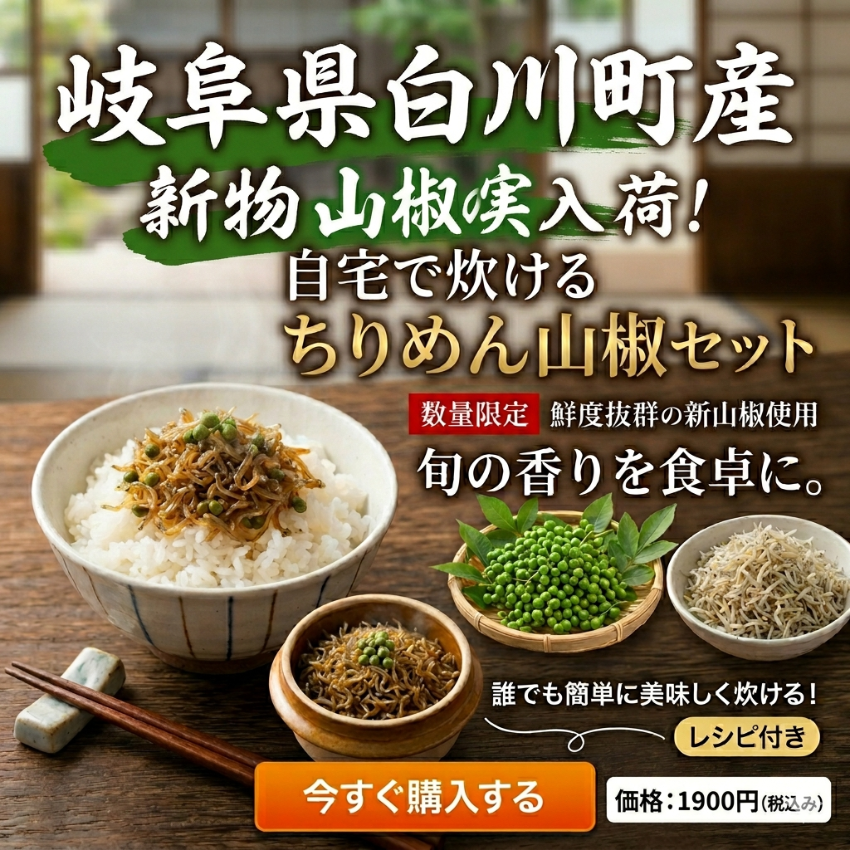 【初夏の限定体験】自宅で炊ける ちりめん山椒セット｜南知多 師崎産の極上しらす×岐阜県白川町産「新物」生山椒の実！丁寧な特製レシピ付き