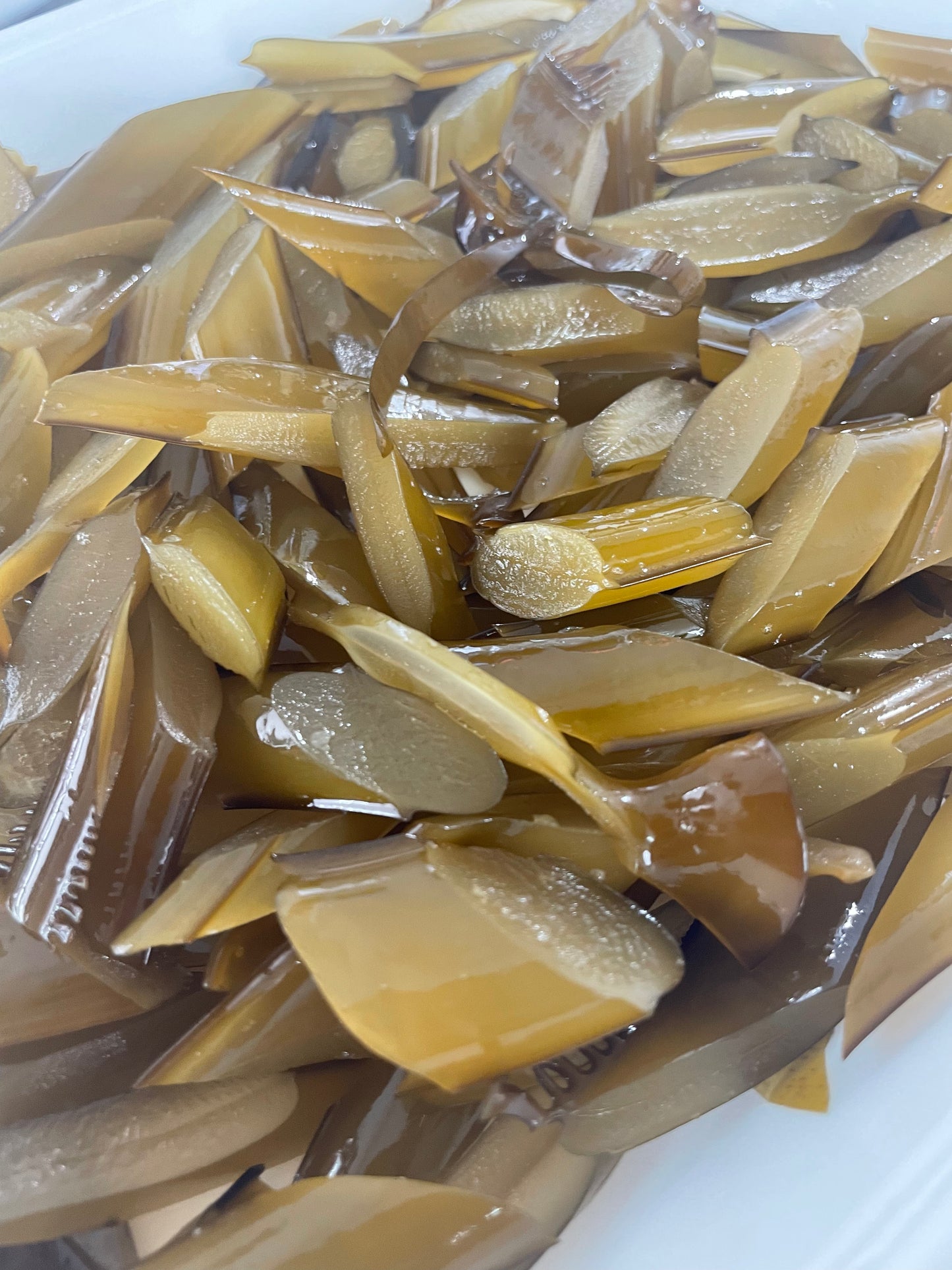 【即調理OK】南知多産「刻み茎わかめ」300g｜面倒な下処理済み！コリコリ食感がたまらない、旬の栄養をそのまま食卓へ。