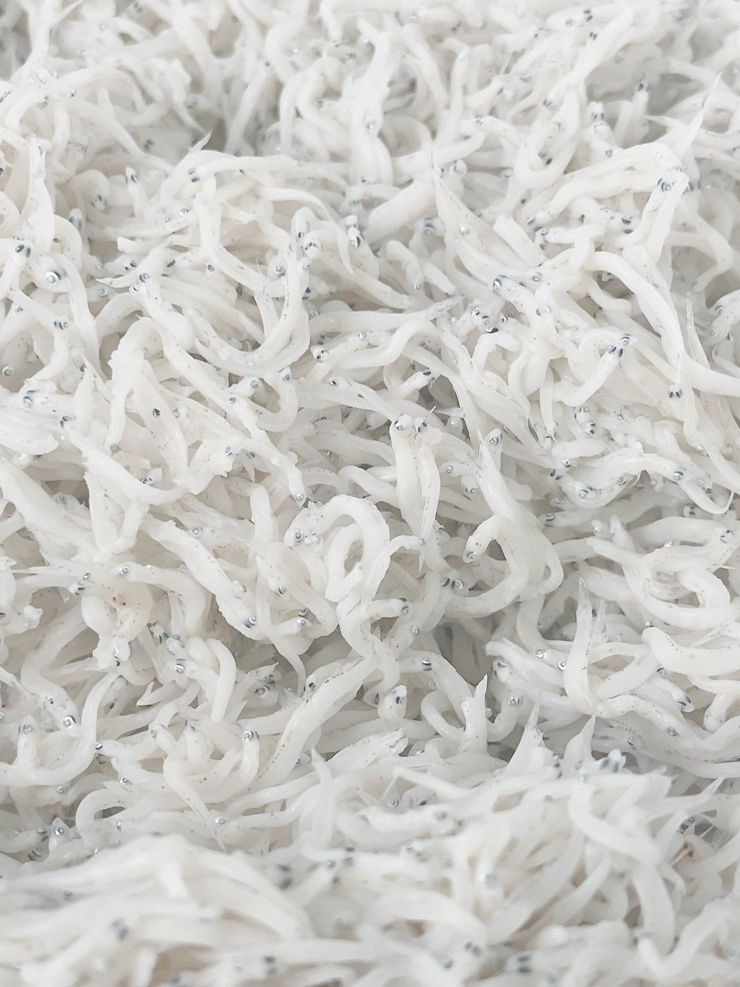 【南知多 師崎港直送】お値打ちしらす 280g｜気取らない「地元の味」。港町で愛される、いつもの釜揚げしらす。